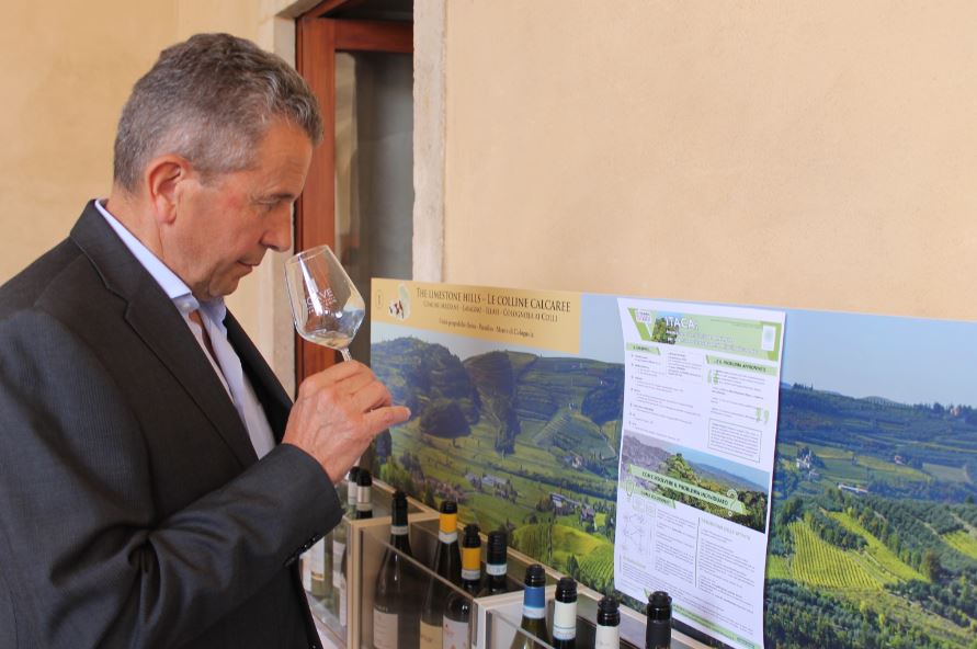 Sandro Gini Consorzio Soave poster Itaca